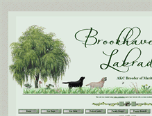 Tablet Screenshot of brookhavenlabradors.com